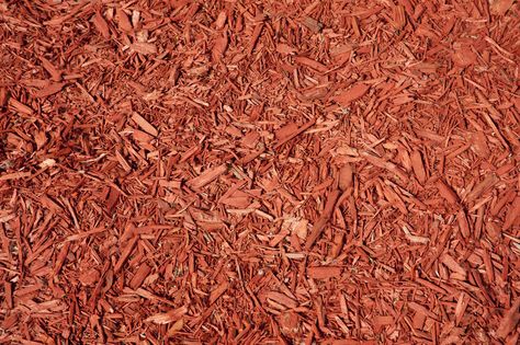 Mulch Dye, Brown Mulch, How To Make Orange, Coops Diy, Best Chicken Coop, Diy Projects For Beginners, Diy Chicken Coop, Fun Hobbies, Organic Fertilizer