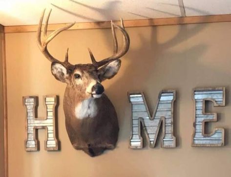 Hunting Home Decor, Deer Head Decor, Living Room Remodel Ideas, Antlers Decor, Antler Decor, Deer Mounts, Hunting Room, Hunting Decor, Deer Decor