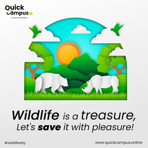 It's World Wildlife Day! Let's work together to protect and conserve these beautiful creatures. . #WWD2023 #worldwildlifeday #wildlife #wildlifeconservation #wildlifeday #wwd #worldwildlifeconservation #schoolmanagementsoftware #quickcampus #Quicktouch #QT #schoolerp Save Wildlife Poster Ideas, Wildlife Quotes, World Wildlife Day, Soft Board, Wildlife Day, Groot Marvel, Save Wildlife, School Management, Kids Adventure