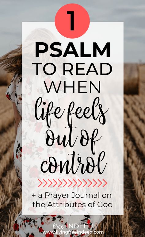 One Psalm to Read When Life is Stormy - Free Indeed Scripture For Difficult Times, Psalms For Comfort, Biblical Prayers, Prayer For Difficult Times, Free Indeed, Attributes Of God, Blind Faith, Endocannabinoid System, Hebrew Words