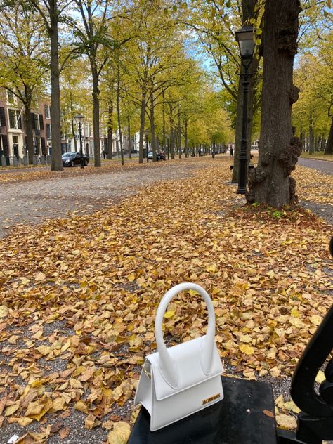 Jacquemus bag, white jacquemys bag, fall aesthetic, fall bag, bag idea, white bag, jacquemus, le grand chiquito, fall vibes, aesthetic bag White Jacquemus Bag, Jacquemus Le Grand Chiquito, Fall Vibes Aesthetic, Le Grand Chiquito, Bag Jacquemus, Aesthetic Bag, Jacquemus Bag, Aesthetic Bags, Fall Bags