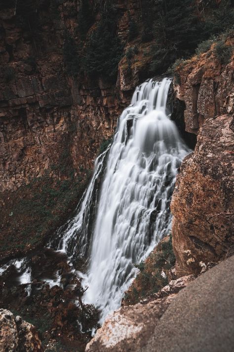 Top Things to do in Yellowstone | The Ultimate Guide | Globetrotting Ginger Yellowstone Itinerary, National Park Pictures, Things To Do In Yellowstone, Holiday Landscape, Park Images, River Pictures, Park Pictures, Old Faithful, Wild Adventures