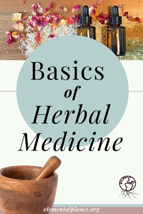 Learn about the different types of herbal preparations and how to use them. A perfect resource for beginner herbalists! Herbalism Basics, Herbalist Aesthetic, Beginner Herbalist, Certified Herbalist, Homesteading Goals, Herbal Preparations, Herbal Tea Garden, Herbal Education, Healing Garden