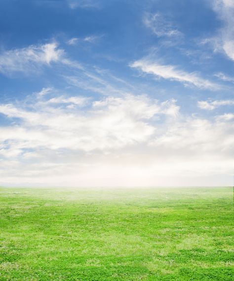 Fresh grass with sky background Free Photo Sky Photoshop, Hd Sky, Photoshop Landscape, Green Grass Background, Grass Background, Nature Background Images, Sky Images, Beginner Photo Editing, Background Images For Editing