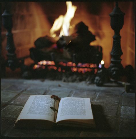 Thomas Carlyle, The Fireplace, Book Nooks, I Love Books, Simple Pleasures, A Fire, Love Reading, Love Book, The Floor