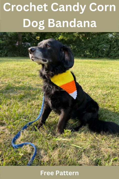 This is an easy crochet pattern for a candy corn dog bandana. Crochet Halloween Dog Bandana, Dog Accessories Crochet Patterns Free, Crochet Dog Bandana Free Pattern, Crochet Dog Bandana, Dog Scarf Crochet, Crochet Candy Corn, Candy Corn Dog, Star Crafts, Dog Bandana Pattern