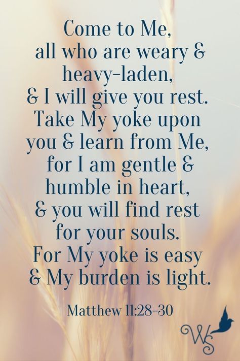 My Yolk Is Easy And My Burden Is Light, Mathew 11:28-30, Come To Me All Who Are Weary, Matthew 11:28-30, Mathew 11 28, He Walks With Me, My Burden Is Light, Matthew 11 28 30, Inspiring Scripture