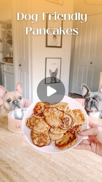 Lavender Bean and Latte Marie on Instagram: "Awhile back we asked you what we should be making with our new skillet and we decided on dog pancakes! 🥞
 This is such a simple recipe: 
½ cup almond milk (we make our own with no sweeteners or additives 
½ tsp of cinnamon 
2 cups oats 
2 bananas 
🥞🥞🥞 
#lavenderandlatte #frenchiesofinstagram #dogfriendlyrecipe" Dog Pancakes Recipes, Dog Pancakes, Easy Treats, Pancake Recipe, Simple Recipe, Almond Milk, 2 Cups, Dog Treats, Skillet