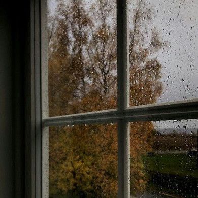 Studera Motivation, Fall Mood Board, Season Of The Witch, Window View, Academia Aesthetic, Fall Pictures, Best Seasons, We Fall In Love, Autumn Cozy