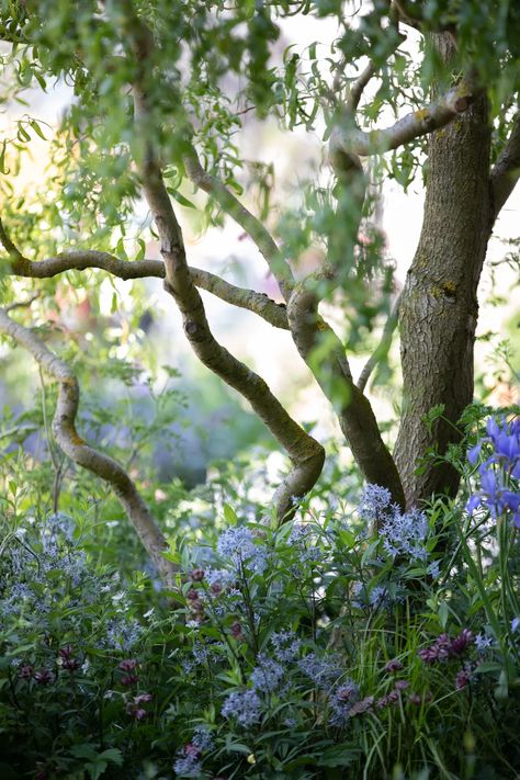 Chelsea Flower Show 2022: Arts & Crafts Revisited - Gardenista Creating A Garden, Chelsea Garden, Nature Pattern, Outdoor Privacy, Aesthetic Inspiration, Garden Show, Of Aesthetic, Chelsea Flower, Public Garden