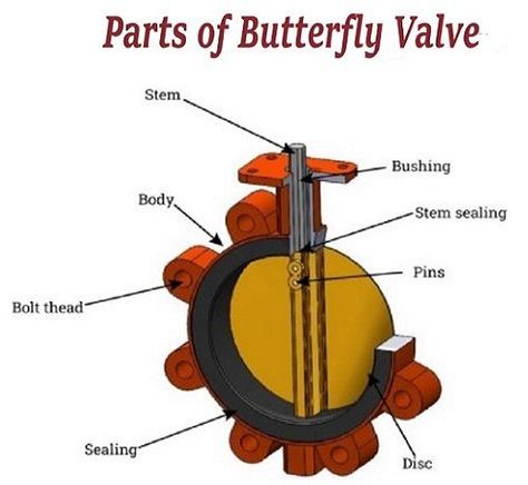 #butterfly valve #butterfly valves #butterfly valve working #butterfly valve working principle #butterfly valve types #butterfly valve parts #butterfly valve components #butterfly valve applications #butterfly valve function #butterfly valve advantages #butterfly valve disadvantages #butterfly valve function Heart Valve, Bicuspid Aortic Valve, Mitral Valve, Butterfly Valve, Safety Valve, Relief Valve