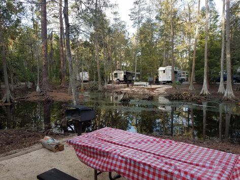 THE CAMPSITES AT DISNEY'S FORT WILDERNESS RESORT - Updated 2020 Prices & Campground Reviews (Orlando, FL) - Tripadvisor Fort Wilderness Campground, Disney Fort Wilderness Resort, Fort Wilderness Disney, Disney Camping, Wilderness Resort, Boys Town, Fort Wilderness, Tent Site, Hotel Website