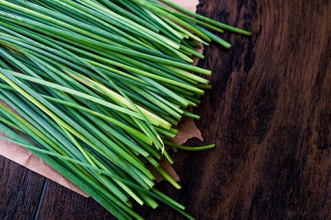 How to Store Chives: 3 Simple Ways to Store Chives Preserve Herbs, Allium Schoenoprasum, Chives Plant, Chive Blossom, Dominique Ansel, Preserving Herbs, Recipes Learn, Homemade Seasonings, Fresh Chives