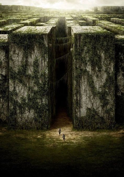 Maze Runner Movie Poster, The Maze Runner Movie, Maze Runner Wallpaper, Maze Runner Movie, The Scorch, Maze Runner Series, The Scorch Trials, Adventure Movie, The Maze Runner