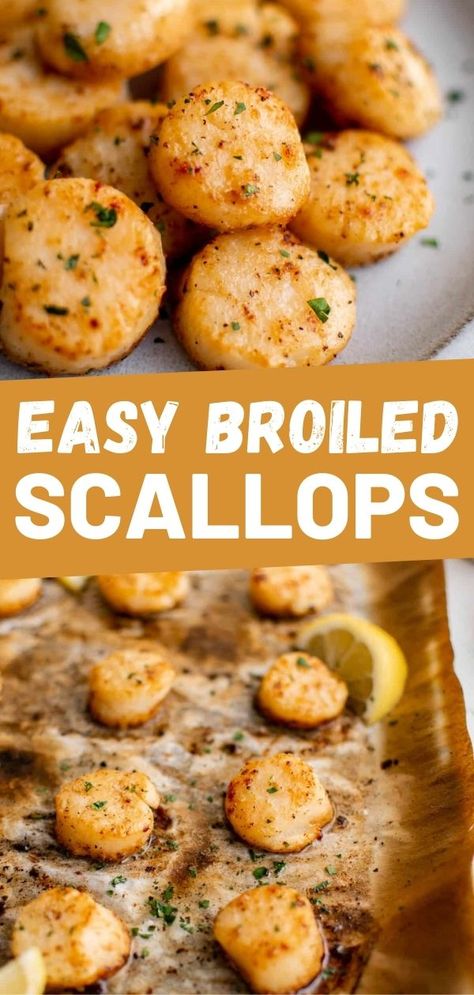 Tilapia And Scallops Recipes, Scallops In Oven, Scallops Recipe Baked, Scalloped Recipes, Shrimp Scallop Recipes Healthy, How To Bake Scallops In The Oven, Bay Scallop Recipes Baked, Recipes For Bay Scallops, Sea Scallop Recipes Baked