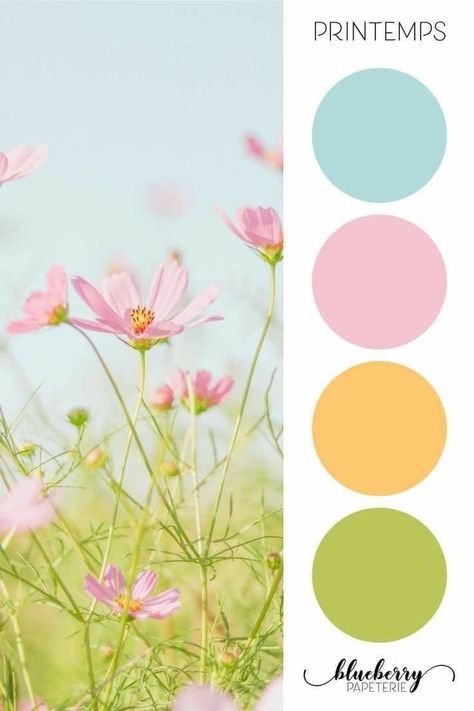 Green Blue Purple Color Scheme, Sarah Renae Clark Color Palettes, Paleta Candy Colors, Pink Green Colour Palette, Yellow Palette Colour Schemes, Color Palettes Aesthetic, Sunshine Color Palette, Green Colour Combo, Candy Color Palette