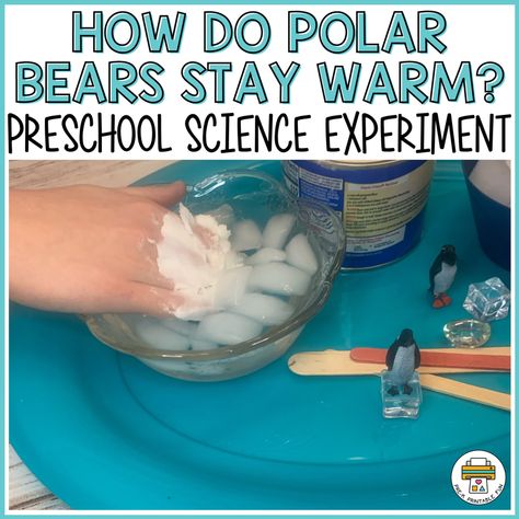 How Do Polar Bears Stay Warm Preschool Science Experiment - Pre-K Printable Fun Artic Science Experiments For Kids, Polar Bear Science Experiment, Polar Bear Science Preschool, Polar Express Unit Study, Polar Bear Activity Preschool, Bear Science Preschool, Polar Bear Activities For Toddlers, Polar Bear Preschool Activities, Polar Bear Preschool