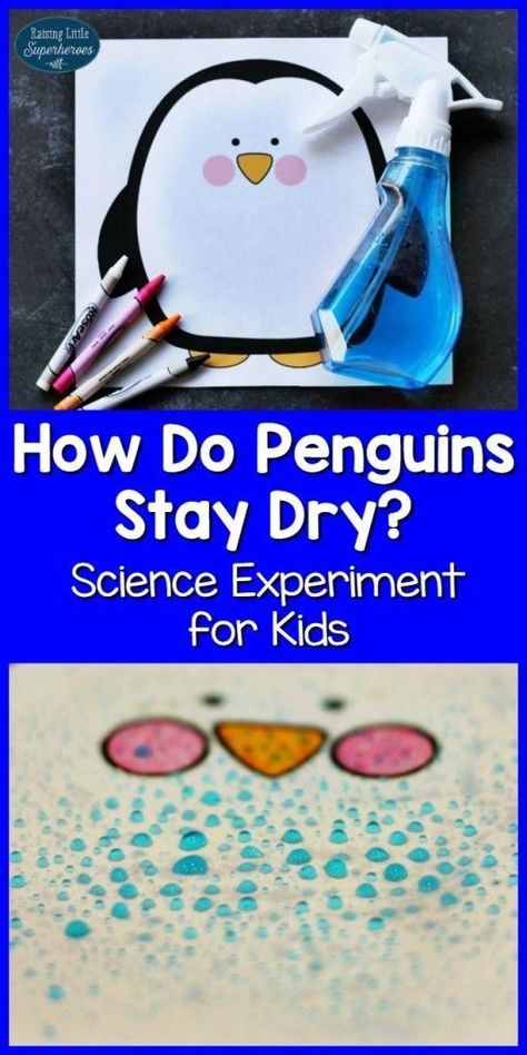 Penguin Feathers Science Experiment, Science Experiment for Kids, Penguin Science Experiment, How Do Penguins Stay Dry, Learning Resources, Learning Activities, Science Activities Winter Science Experiments, Science Penguin, Penguin Activities, Science Experiment For Kids, Winter Science, Experiment For Kids, Polar Animals, Kid Experiments, Winter Preschool