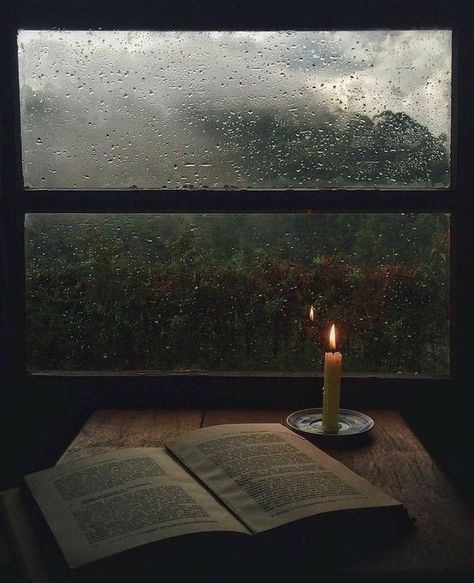 Paradis Sombre, Green Academia, Dark Naturalism, Dark Acadamia, Rain Wallpapers, An Open Book, Hogwarts Aesthetic, Slytherin Aesthetic, Dark Paradise