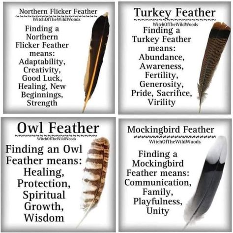 Wand N Cauldron Turkey Feather Meaning, Turkey Feathers Craft, Feather Witchcraft, Black Feather Meaning, Divination Techniques, Feather Color Meaning, Diy Feathers, Feather Identification, Feather Magic