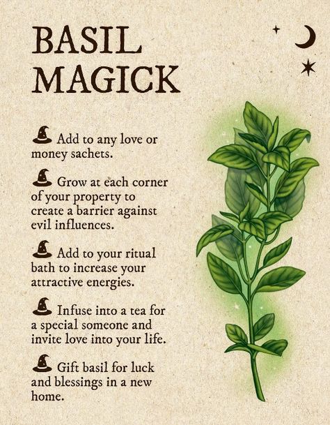 Witch Correspondence, Plant Magick, Witchy Apothecary, Crystal Alter, Witches Garden, Yule Celebration, Bay Laurel, Witch Tips, Magickal Herbs