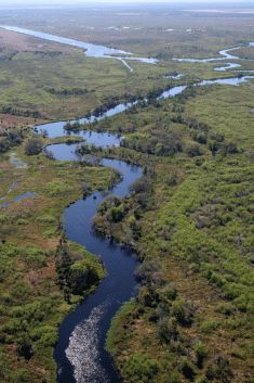 Kissimee River, Florida Freshwater Plants, Water Catchment, Mount Dora, River Basin, Natural Patterns, Southwest Florida, Hudson Bay, Water Management, Water Resources