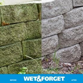 Wet and Forget 128-fl oz Liquid Mold Remover at Lowes.com Diy Stone Wall, Moss Removal, Mildew Stains, Easy Treat, Fence Styles, Mold Remover, House Roof, Black Stains, Retaining Wall