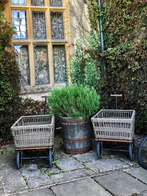 Hanging basket garden