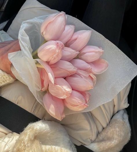 Flowers 🌺 on Twitter: "… " Nothing But Flowers, No Rain, Flower Therapy, Spring Aesthetic, A Blanket, Plants Flowers, Love Flowers, My Flower, Pink Aesthetic