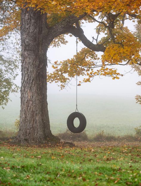 Autumn's simple country pleasures — Country Living Candy Haul, Foggy Fall, Country Photography, Early Riser, Nostalgic Memories, Tire Swing, Truth Be Told, Country Living Magazine, Autumn Morning