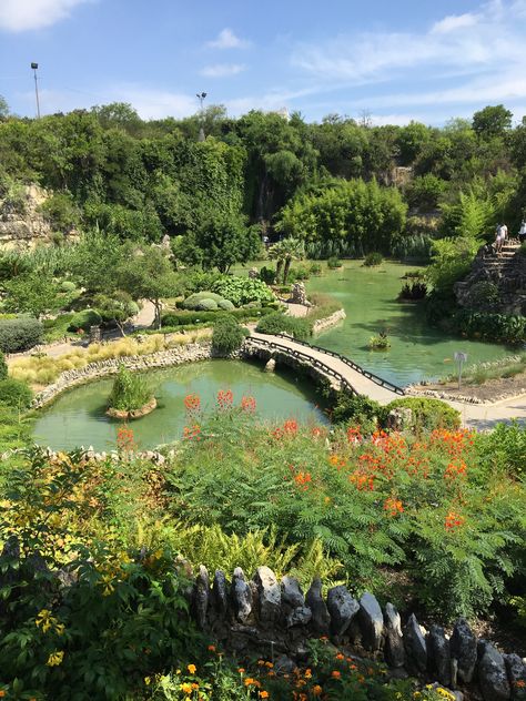 Japanese Tea Garden, San Antonio Japanese Tea Garden San Antonio, San Antonio Aesthetic, San Antonio Japanese Tea Garden, San Antonio Botanical Garden, Texas Attractions, 2024 Era, Pink Purple Wedding, San Antonio Photography, Tea Gardens