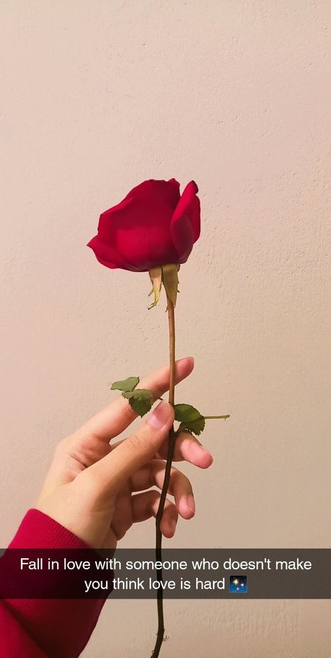 Rose Day Story Ideas, Roses Love Quotes, Pics With Roses Aesthetic, Love Quotes About Roses, Red Roses Instagram Story, Rose Day Instagram Story, Fake Love Snapchat Story, Red Roses Snapchat, Red Rose Quotes Love