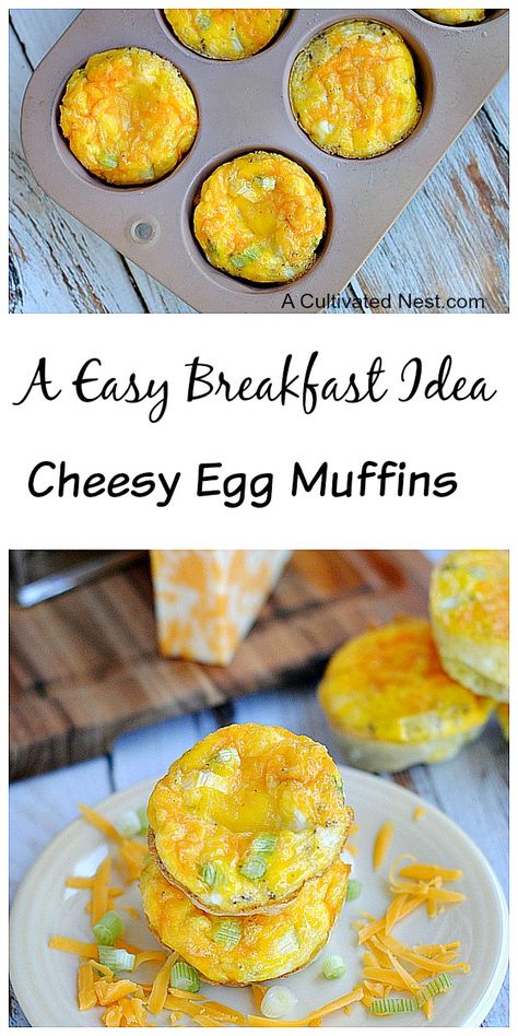 Easy Breakfast Idea: Cheesy Egg Muffins Cheesy Muffins, Easy Egg Muffins, Meat And Veggies, Muffins Breakfast, Easy To Make Breakfast, Egg Muffins Breakfast, Cheesy Eggs, Egg Muffins, Breakfast Idea