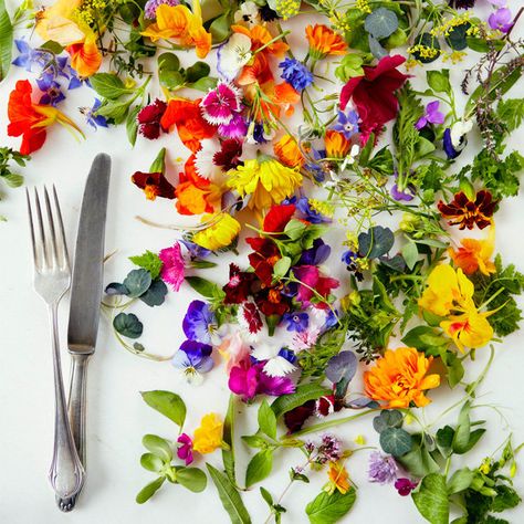 Edible Flower Salad, Micro Flowers, Eatable Flowers, Culinary Garden, Eating Flowers, Micro Herbs, Edible Flowers Recipes, Dessert Inspiration, Food Flowers