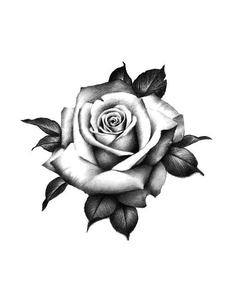 Heart Rose Tattoo Design, Men’s Rose Tattoo, Roses Tattoo Stencil, Rose Bush Tattoo, Rose Tattoo For Men, Rose Tattoo Men, Rose Reference, Future Hairstyles, Rose Drawing Tattoo