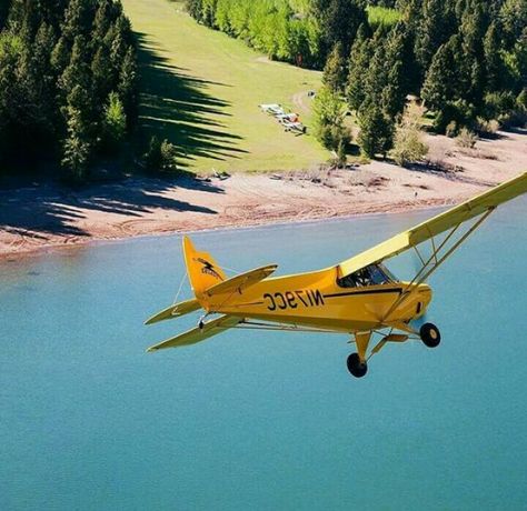 Cessna 210, Piper Cub, Piper Aircraft, Bush Pilot, Small Airplanes, Bush Plane, Airplane Flight, Small Aircraft, Airplane Flying