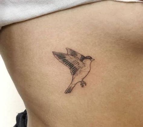 Goldfinch Tattoo Black And White, Artic Tern Tattoo, European Goldfinch Tattoo, Golden Finch Tattoo, Nuthatch Bird Tattoo, The Goldfinch Tattoo, American Goldfinch Tattoo, Cedar Waxwing Tattoo, House Finch Tattoo