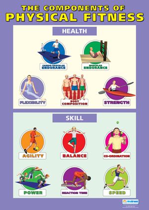 Health Related Fitness, Fitness Components, Components Of Fitness, Gcse Pe, Physical Literacy, Fitness Posters, Fitness Poster, Elementary Physical Education, Physical Education Lessons