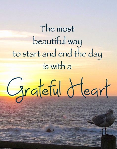 Choose to Be Thankful with these Grateful Heart Quotes - EnkiVillage Blessed Quotes Thankful, Grateful Heart Quotes, Good Heart Quotes, Grateful Quotes, Thankful Quotes, Feeling Thankful, Blessed Quotes, Short Inspirational Quotes, Morning Inspirational Quotes