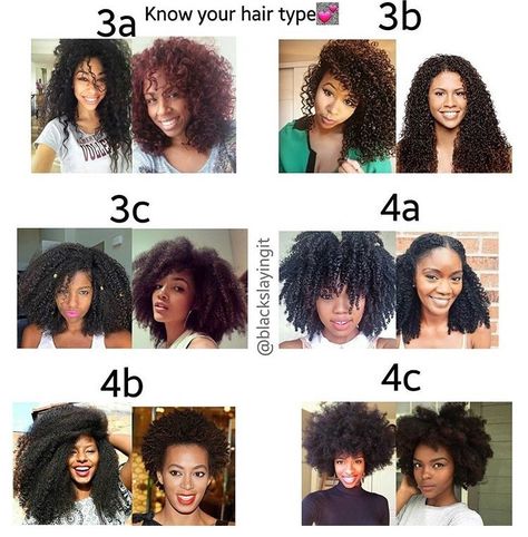 What is your hair type? – A drop of Black What’s My Hair Type, What Type Of Hair Do I Have, Hair Type Chart African Americans, Types Of Black Hairstyles, Hair Types Chart, Hair Type Chart, Black Hair Types, African Natural Hairstyles, Hair Transition