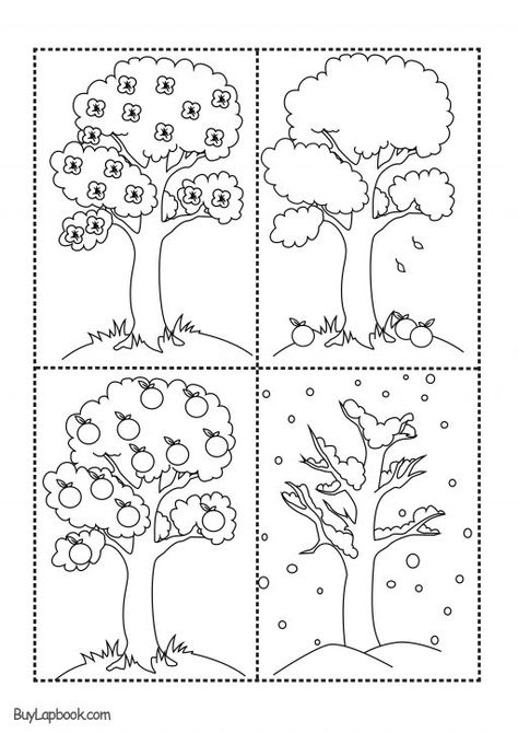 Seasons Kindergarten, Tree Worksheet, Four Seasons Tree, Seasons Worksheets, Apple Life Cycle, Early Childhood Program, Kindergarten Worksheets Printable, Tree Coloring Page, Art Worksheets