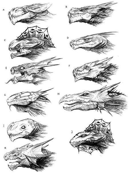 Dragon Anatomy, Some Drawings, Dragon Sketch, Creature Drawings, Monster Concept Art, Dragon Pictures, Fantasy Creatures Art, Dragon Artwork, Concept Art Drawing