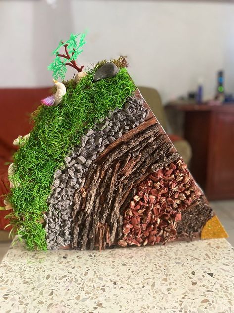 Earth Model Project Ideas, Social Science Projects Ideas, Environmental Science Projects, Science Exhibition Projects, School Science Projects, Science Models, Biology Projects, Creative School Project Ideas, Science Crafts