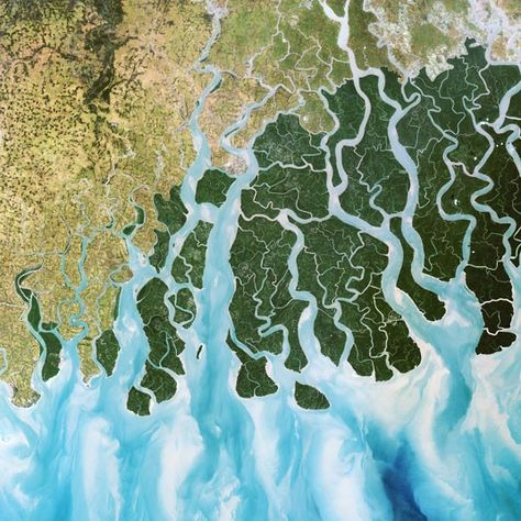 A delta in the Ganges, Bangladesh Africa Nature, Ganges River, Salt Water Fishing, Bay Of Bengal, River Delta, Satellite Image, Aerial Photo, Photography Pictures, Birds Eye View