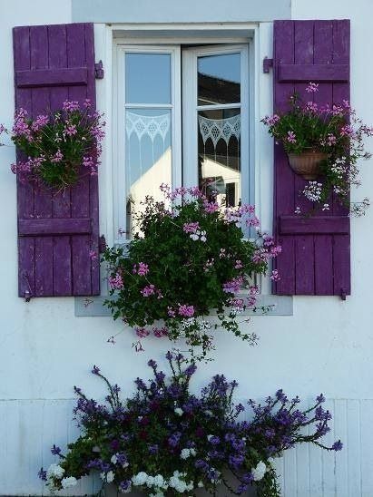 Purple Shutters, Beautiful Windows, Garden Windows, All Things Purple, Window View, Window Boxes, Beautiful Doors, Window Box, Flower Boxes