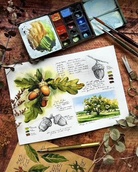 Alicia Aradilla (@a.aradilla) • Instagram photos and videos Botanical Sketchbook, Sketchbook Layout, Perspective Sketch, Travel Art Journal, Watercolor Art Journal, Nature Journaling, Travel Sketchbook, Artist Journal, Watercolor Journal