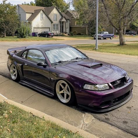 2004 Ford Mustang Gt, 04 Mustang Gt, 1998 Mustang Gt, Custom Ford Mustang, 1997 Ford Mustang, 1999 Mustang Gt, 1999 Ford Mustang, New Edge Mustang Gt, Jdm Mustang