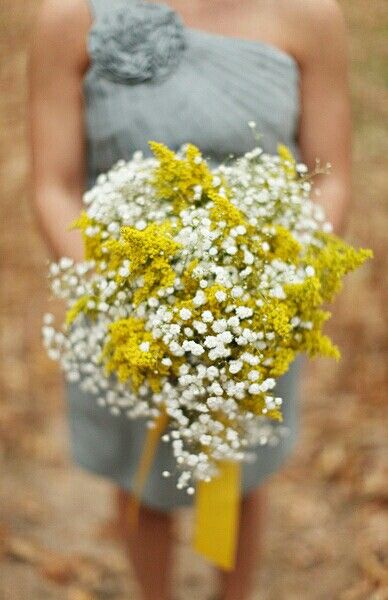 Bridesmaid's Beautifully Lush Wedding Bouquet Featuring: Yellow Solidago (Goldenrod) + White Gypsophila (Baby's Breath) Golden Rod Bouquet, Goldenrod Bouquet, Solidago Bouquet, Goldenrod Wedding, White Wax Flower, Yellow Bridal Bouquets, White Gypsophila, Carolina Cup, Yellow Wedding Bouquet