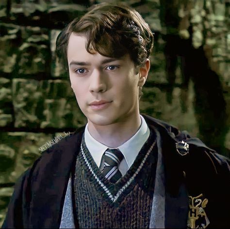 Tom Riddle Icon, Harry Potter Tom Riddle, Tom Marvolo Riddle, Hogwarts Robes, Christian Coulson, Young Tom Riddle, Harry Potter Riddles, Harry Potter Rpg, Tom Hughes