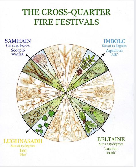 Samhain Festival, Pagan Calendar, Pagan Nature, Pagan Festivals, Irish Mythology, Fire Festival, Divine Feminine Spirituality, Grimoire Book, Norse Pagan